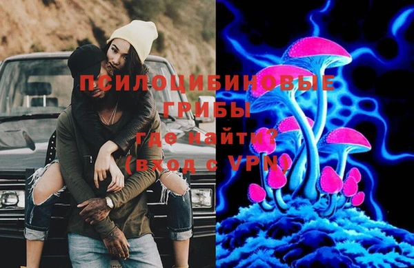 гидра Алексеевка