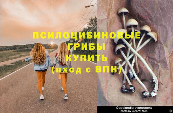 бошки Алзамай