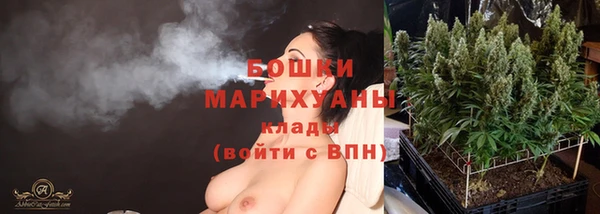 бошки Алзамай