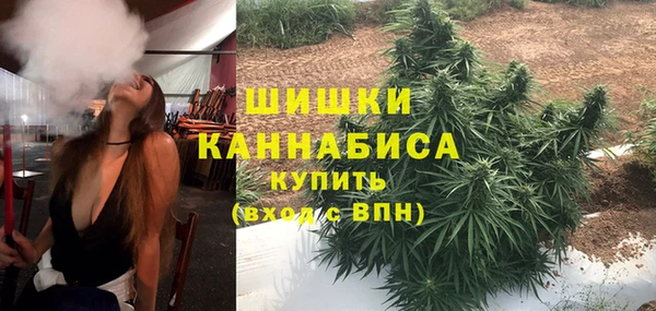 гидра Алексеевка