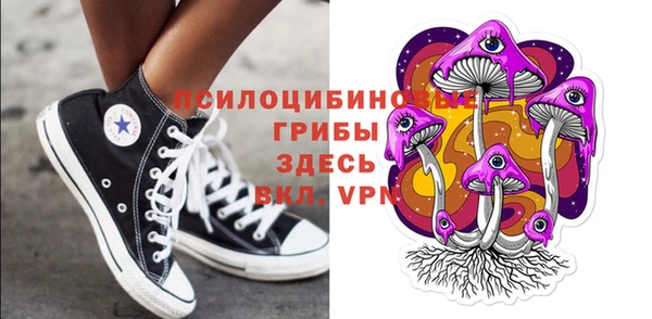 бошки Алзамай