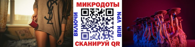 это Telegram Игра Галлюциногенные грибы GOLDEN TEACHER